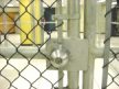 Cage door lock